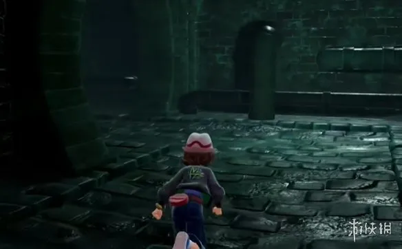 《宝可梦传说：Z