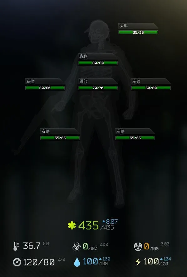 《逃离塔科夫》血量与受伤机制详解-角色部位伤害与恢复道具介绍