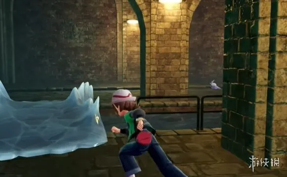 《宝可梦传说ZA》攀瀑技能位置详解