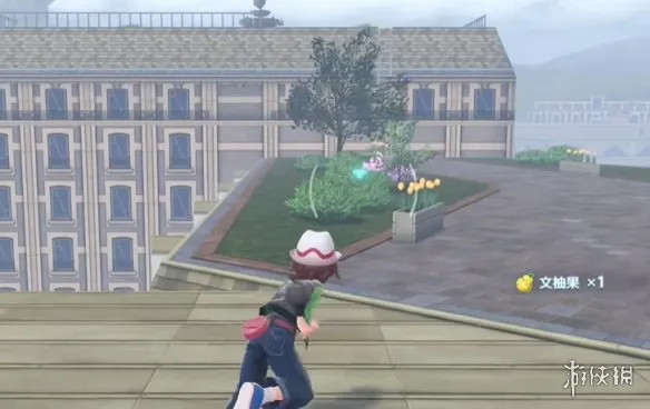 《宝可梦传说ZA》疯狂伏特技能位置详解