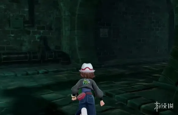 《宝可梦传说ZA》攀瀑技能位置详解