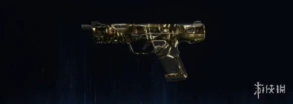 《使命召唤：黑色行动7》熔金迷彩全武器图鉴