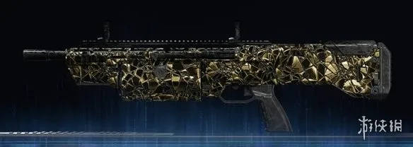 《使命召唤：黑色行动7》碎金迷彩全武器图鉴