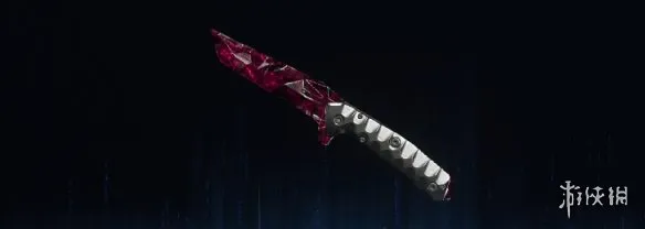 《使命召唤：黑色行动7》血石迷彩全武器图鉴