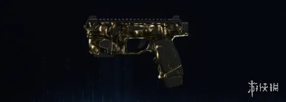 《使命召唤：黑色行动7》熔金迷彩全武器图鉴