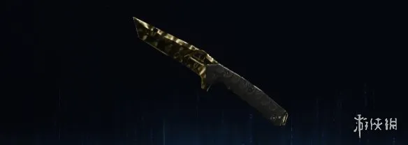 《使命召唤：黑色行动7》熔金迷彩全武器图鉴