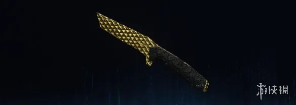 《使命召唤：黑色行动7》金龙迷彩全武器图鉴