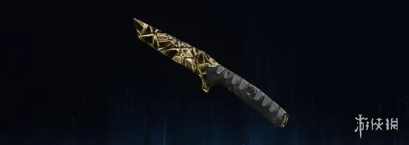 《使命召唤：黑色行动7》碎金迷彩全武器图鉴