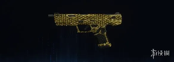 《使命召唤：黑色行动7》金龙迷彩全武器图鉴
