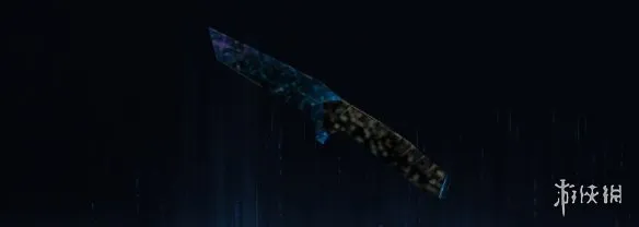 《使命召唤：黑色行动7》奇点迷彩全武器图鉴