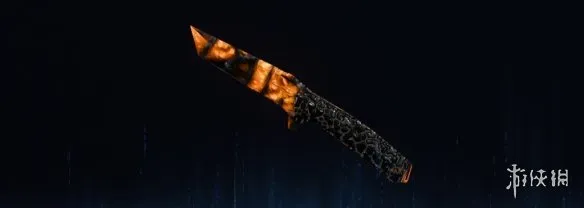 《使命召唤：黑色行动7》感染迷彩全武器图鉴