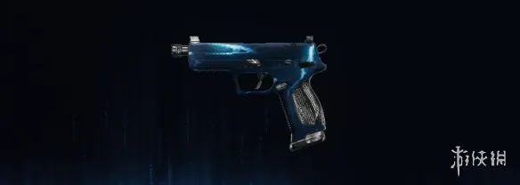 《使命召唤：黑色行动7》风暴迷彩图鉴