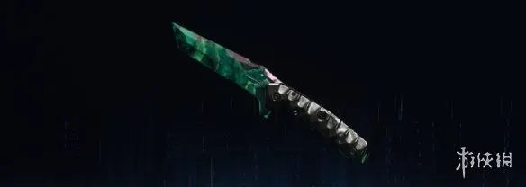 《使命召唤：黑色行动7》创世迷彩全武器图鉴