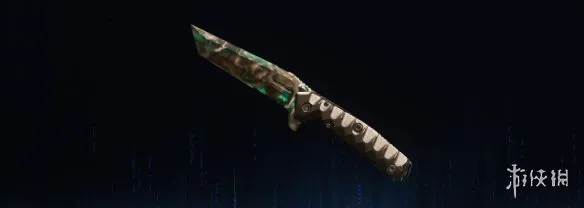 《使命召唤：黑色行动7》厄运钢迷彩全武器图鉴