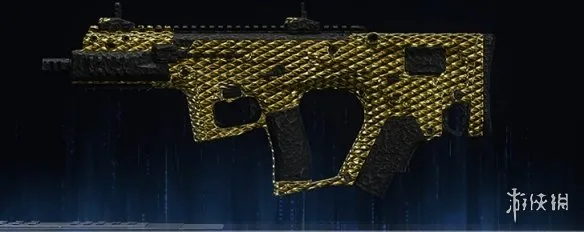 《使命召唤：黑色行动7》金龙迷彩全武器图鉴