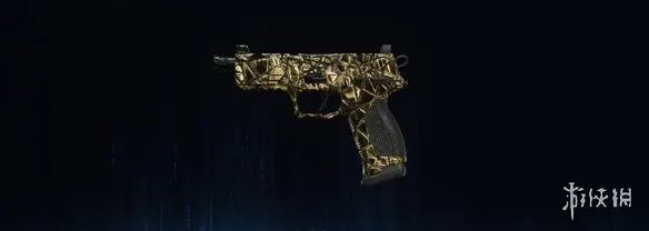 《使命召唤：黑色行动7》碎金迷彩全武器图鉴