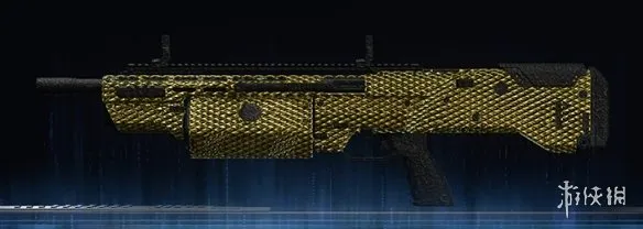 《使命召唤：黑色行动7》金龙迷彩全武器图鉴