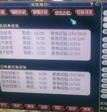 《梦幻西游》奶爸五开地板配置