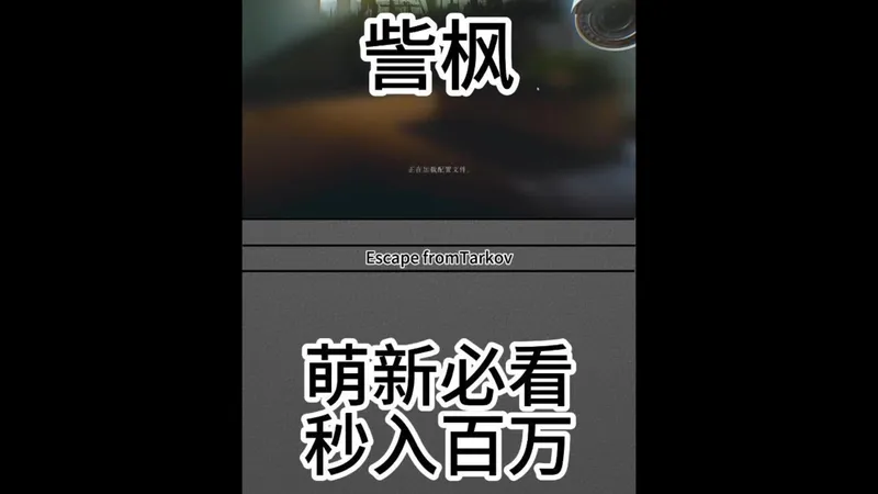 逃离塔科夫萌新必看！教你每日秒入百万！！！