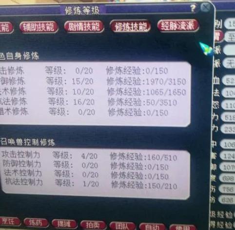 《梦幻西游》奶爸五开地板配置