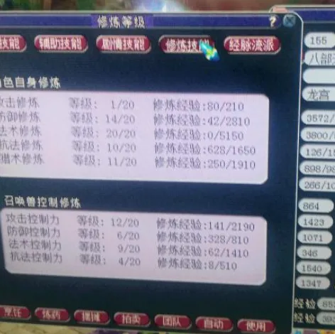 《梦幻西游》奶爸五开地板配置