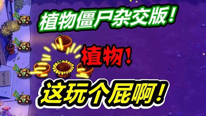 植物大战僵尸杂交版：最穷的一关太难了！老呱呱连滚带爬！