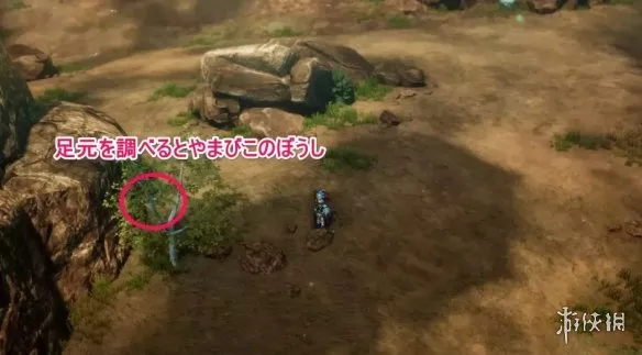 《勇者斗恶龙1重制版》复制帽获取攻略