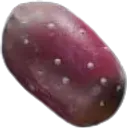 《ARCRaiders》仙人掌果介绍