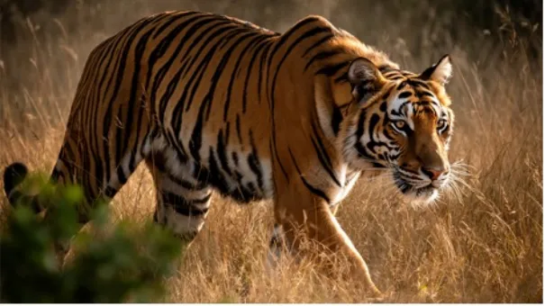 FLUX.2图像生成模型发布