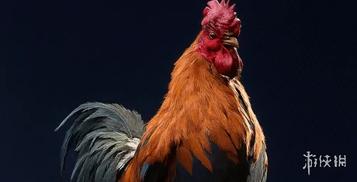 《ARCRaiders》狗项圈介绍