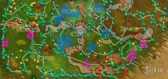 《魔兽世界时光服》索拉查盆地双采无限刷新点详解