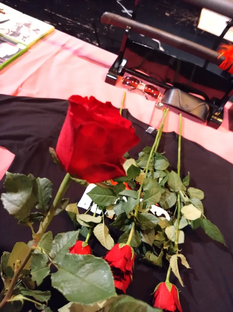 《死或生》设计师板垣伴信追悼会