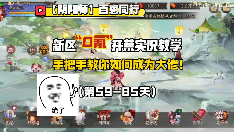 【阴阳师】百崽同行新区“0氪”开荒实况教学，手把手教你成为大佬（59-85天）
