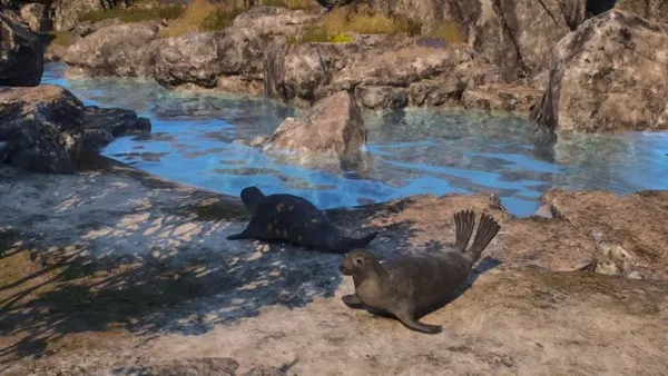 《颂钟长鸣》重大更新