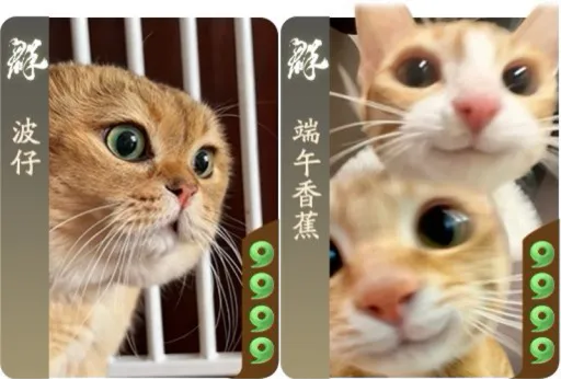 《三国杀：一将成名》周年庆开启