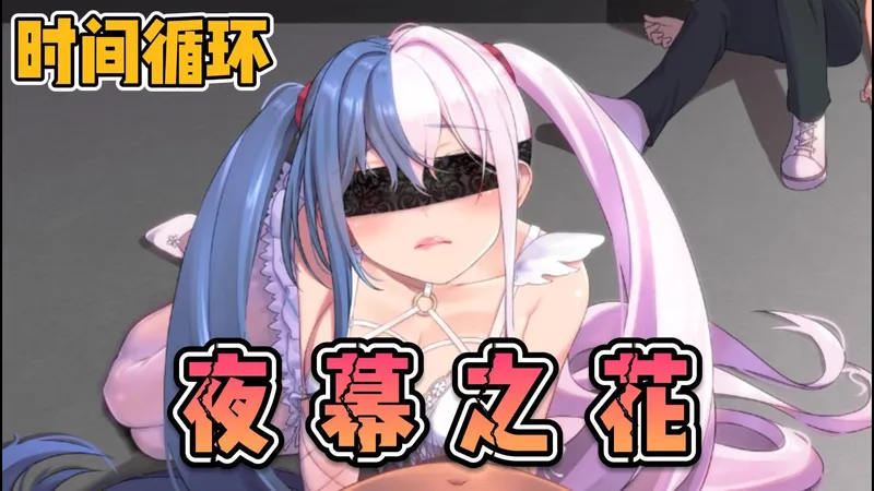 12月最新速递【国产RPG中文NTR恶堕】夜幕之花 Ver0.585 三端直装官中步兵版 全流程攻略！！