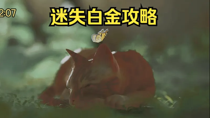 【斑斑】简洁实用！可爱的冒险游戏《迷失STARY》PS5版/白金攻略/全成就/详细解说