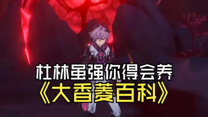 杜林养成的保姆级攻略！让你抽完少走弯路！