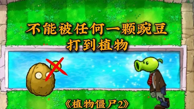 草船借箭2.0，不能被任何一颗豌豆打到植物，禁用灰烬植物！