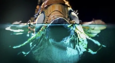 《OutOfWords》合作冒险游戏确认登陆Switch2