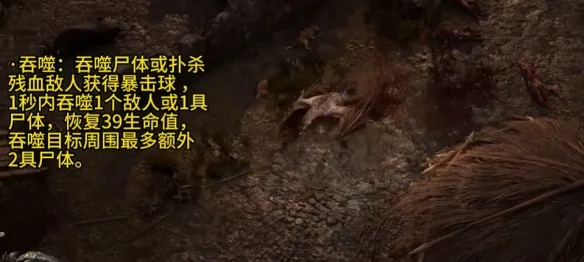 《流放之路2》0.4版本德鲁伊玩法详解