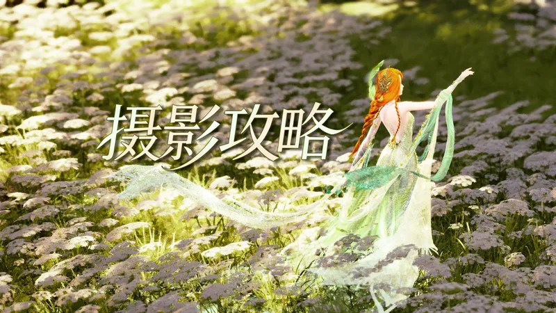 【攻略】雀之灵 森林大景机位/名片摄影教程【无限暖暖】