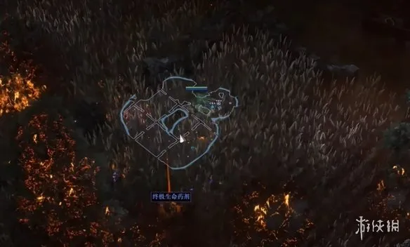 《流放之路2》狂暴狗位置及抓取方法详解