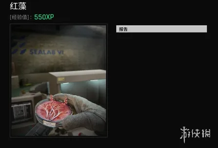 《绝地求生》黑域撤离研究站植物学主题解析