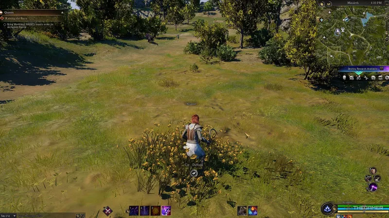 《灰烬创世纪》原型选择指南