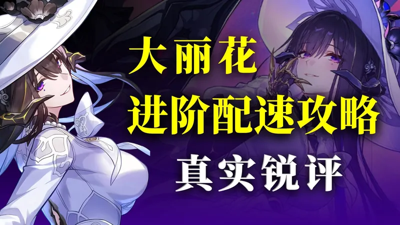 真实锐评！大丽花&流萤强度杂谈、养成、配速进阶攻略