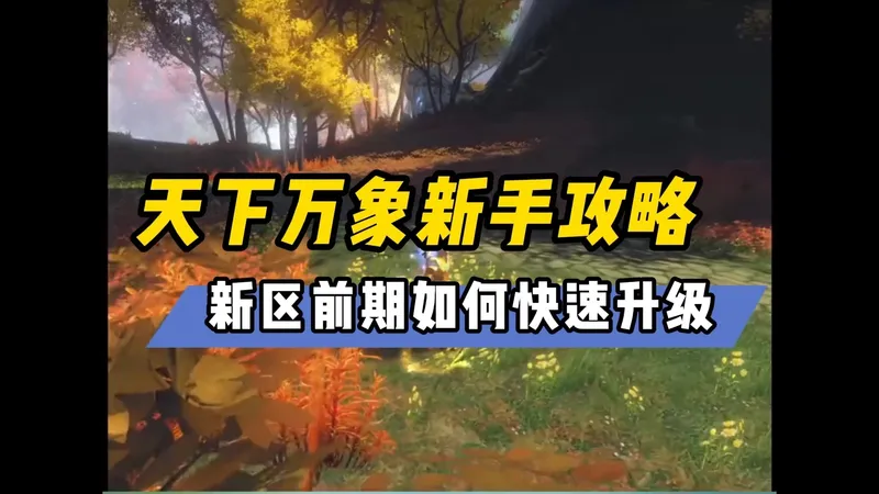 天下万象新手攻略，新区前期如何快速升级