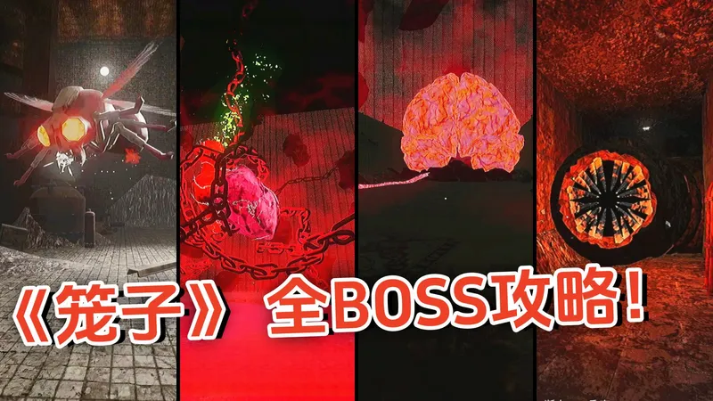 全网首发【笼子】全BOSS保姆级攻略！轻松应对各大怪物！