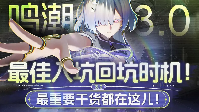 【鸣潮】最新全角色养成配队攻略 入坑回坑最重要干货都在这儿！3.0在即 最佳入坑回坑体验！