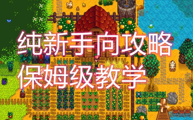 【星露谷物语】纯新手向攻略（第一期）——开局第一天